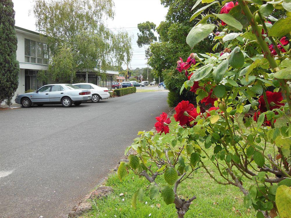 Motel Ringwood Exterior foto