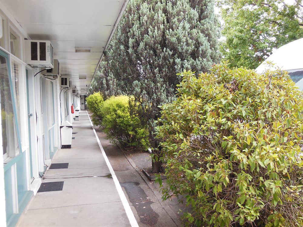 Motel Ringwood Exterior foto